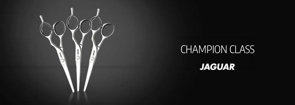 Champion Class