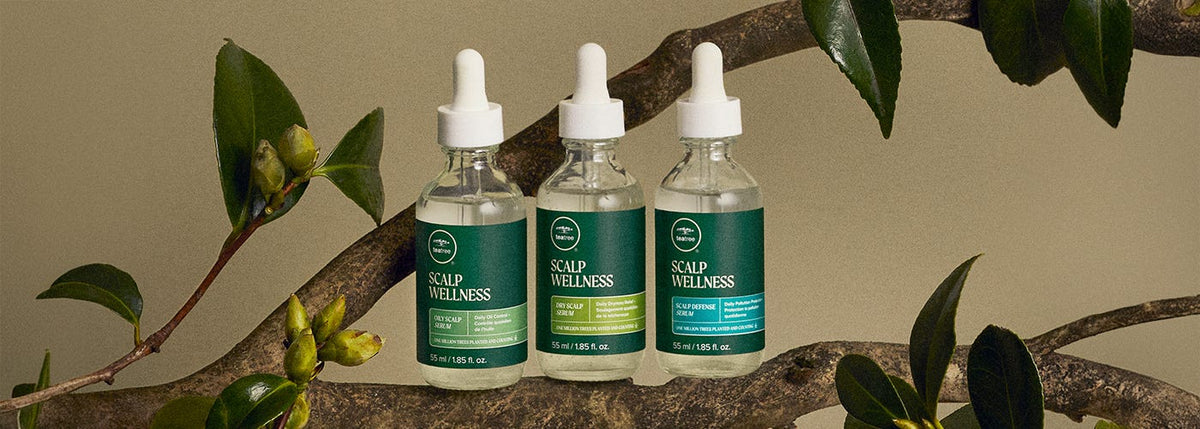 Scalp Wellness