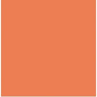 FineTex Pro "Classic'" Friseurhandtuch Apricot 50 cm x 90 cm 