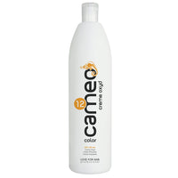 1000 ml