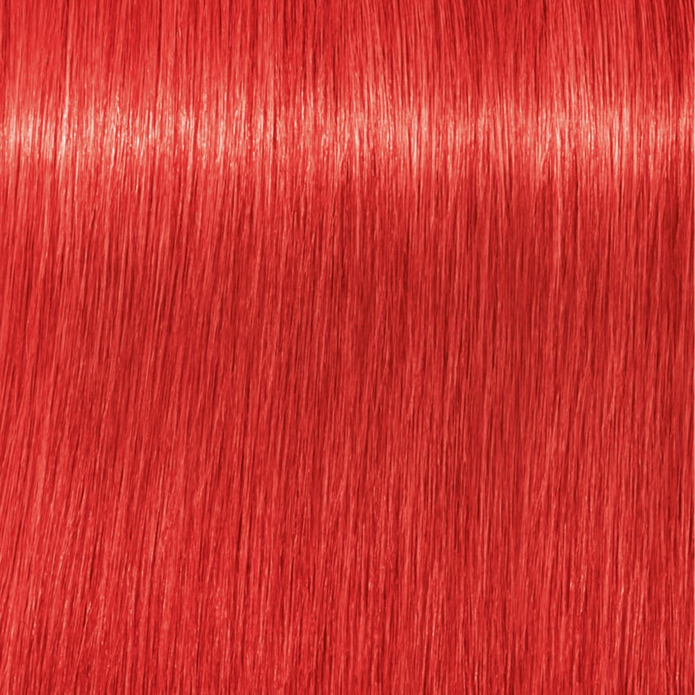 Schwarzkopf Igora Royal 0-88 Rot Konzentrat