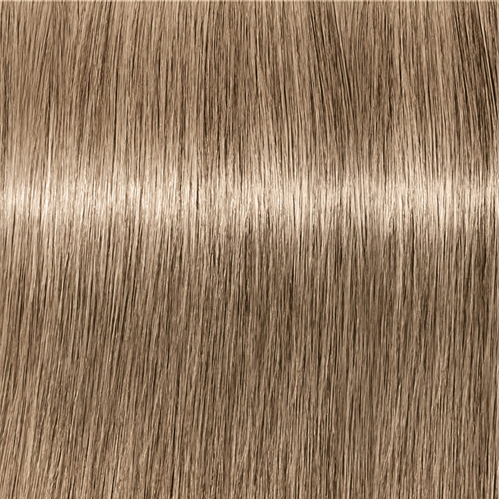 12038386-Farbe-SK IR A AB 8-01 hellblond natur cendré