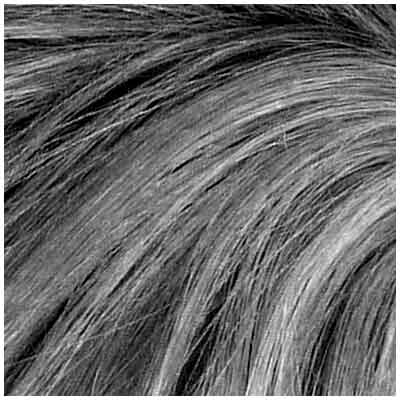 12038850-Farbe-Grau