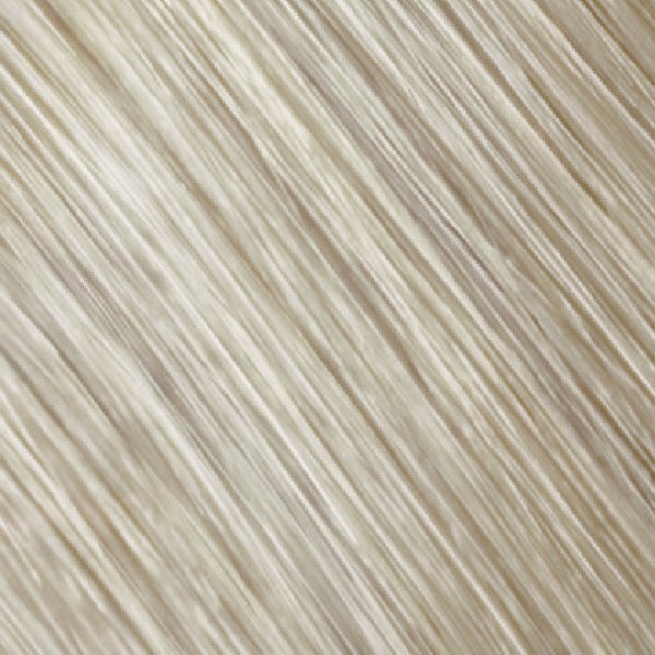 12050176-Farbe-G TC 11 A hellerblond-asch