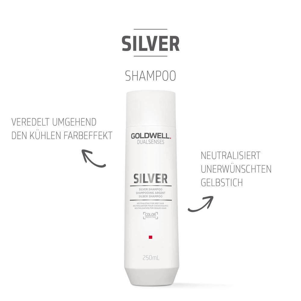 Goldwell Dualsenses Silver Shampoo 250 ml