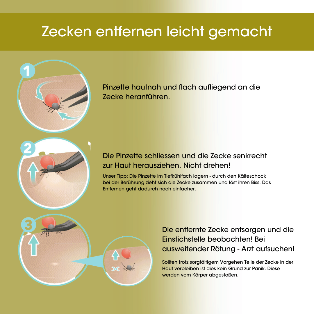 Canal Zeckenpinzette für Menschen rostfrei 110 mm
