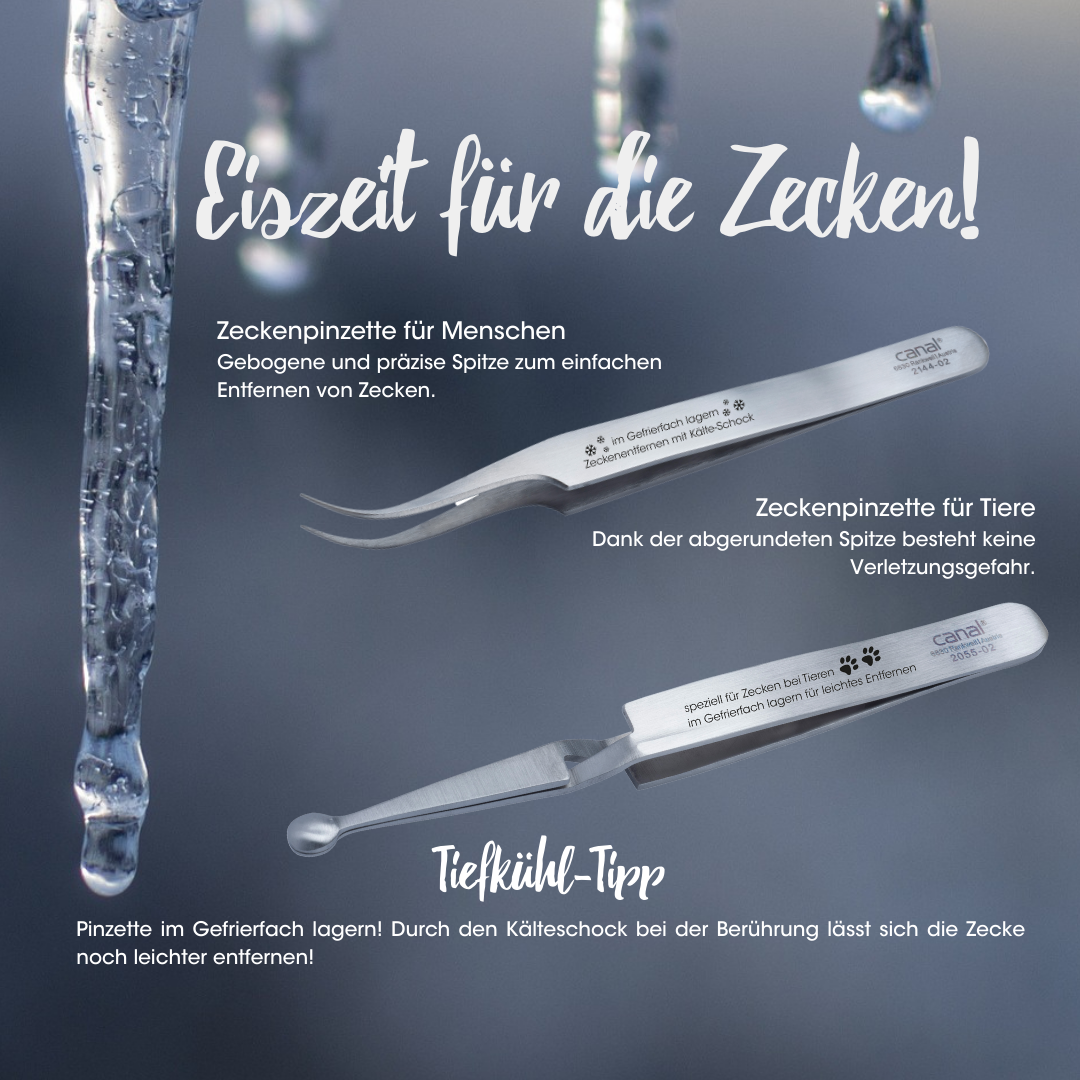 Canal Zeckenpinzette für Menschen rostfrei 110 mm