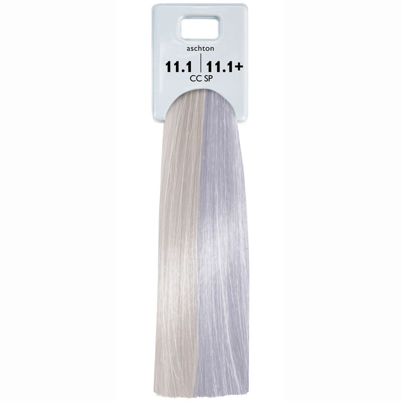 12064834-Farbe-11.1+ Aschton plus