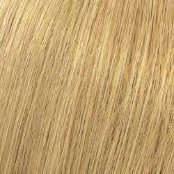 12065458-Farbe-Lichtblond 9/0
