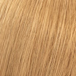 12065461-Farbe-Lichtblond Braun 9/7