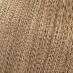 12065463-Farbe-Lichtblond Asch 9/1