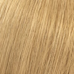 12065496-Farbe-Lichtblond Intensiv Natur 99/0