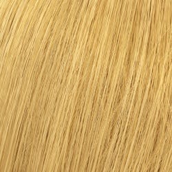 12065513-Farbe-Hell-Lichtblond Natur 10/00