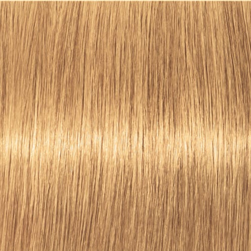 12069462-Farbe-9-55 Extra Hellblond Gold Extra