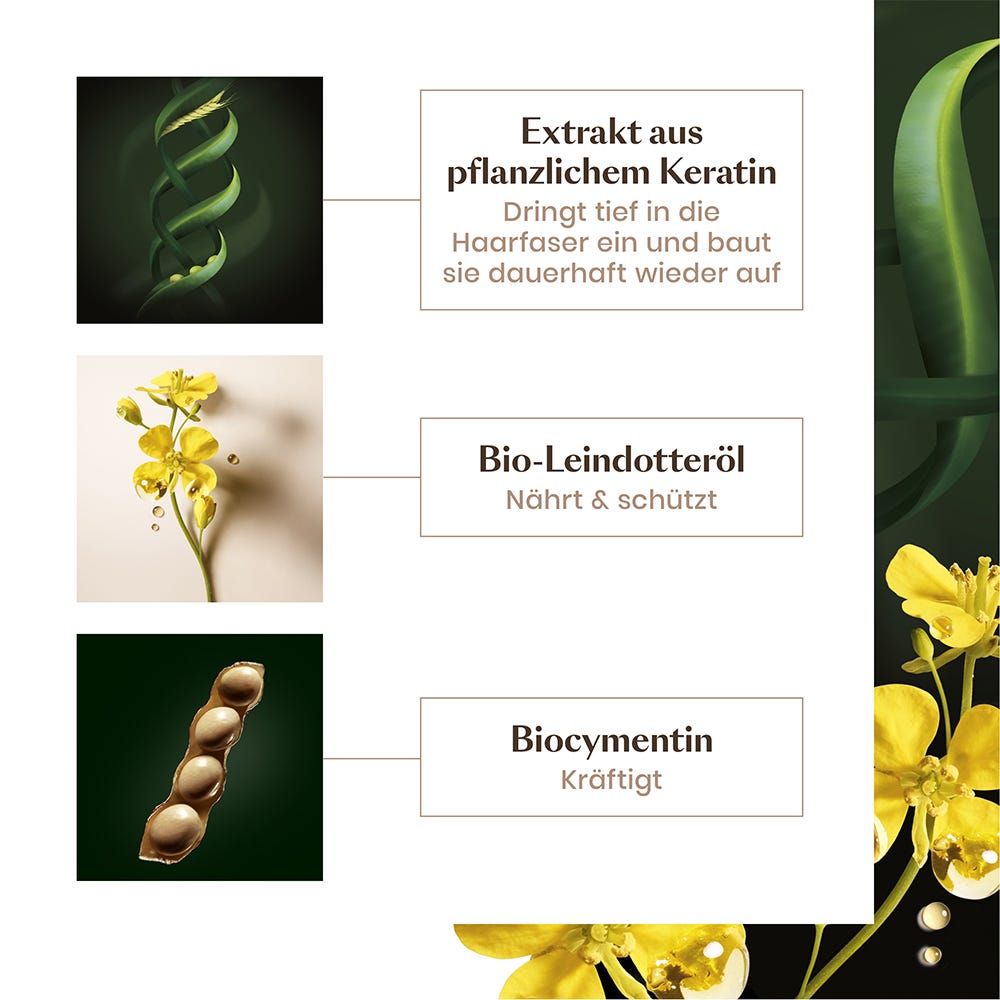 Rene Furterer Absolue Kératine Shampoo