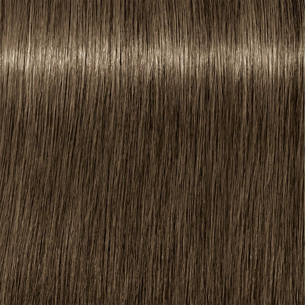 12080656-Farbe-7-24