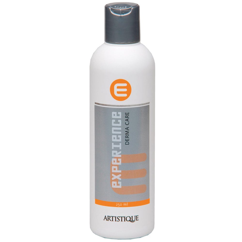 Artistique Experience Derma Care 250 ml