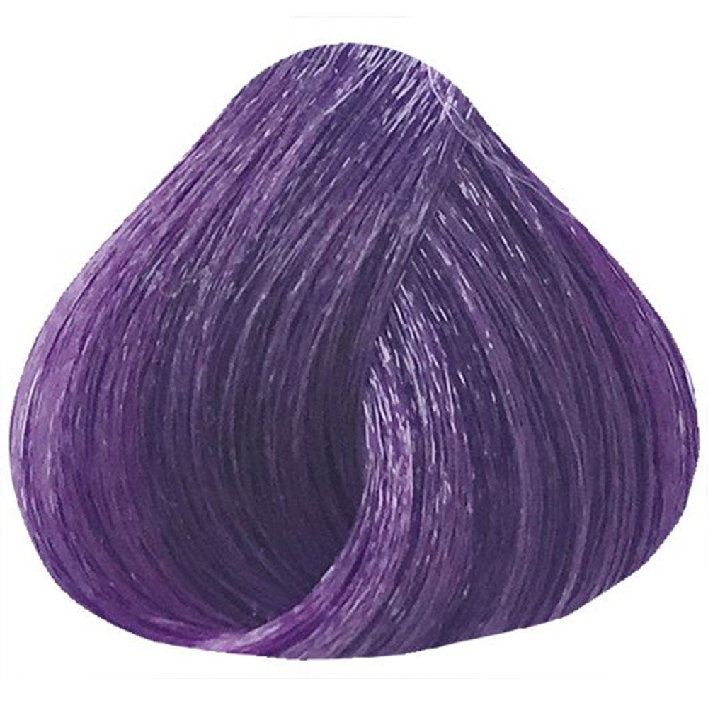 12081389-Farbe-Violet