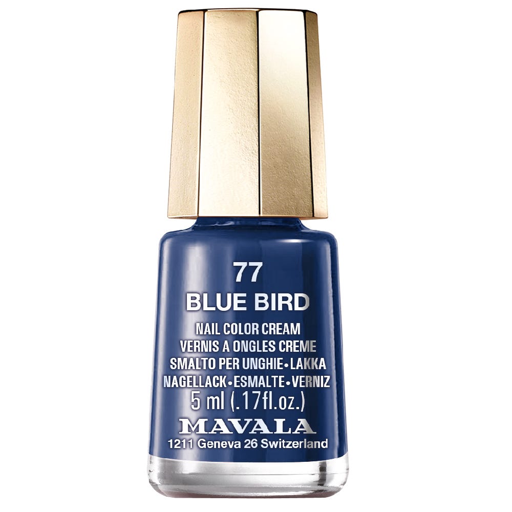 12082200-Farbe-Blue Bird