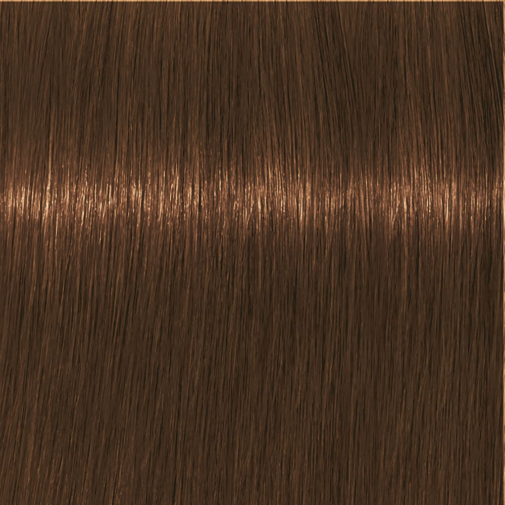 12086492-Farbe-7-460