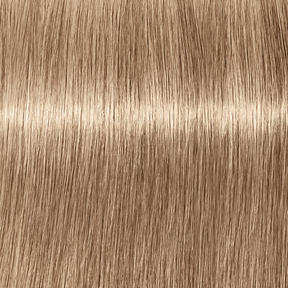 12086494-Farbe-9-140