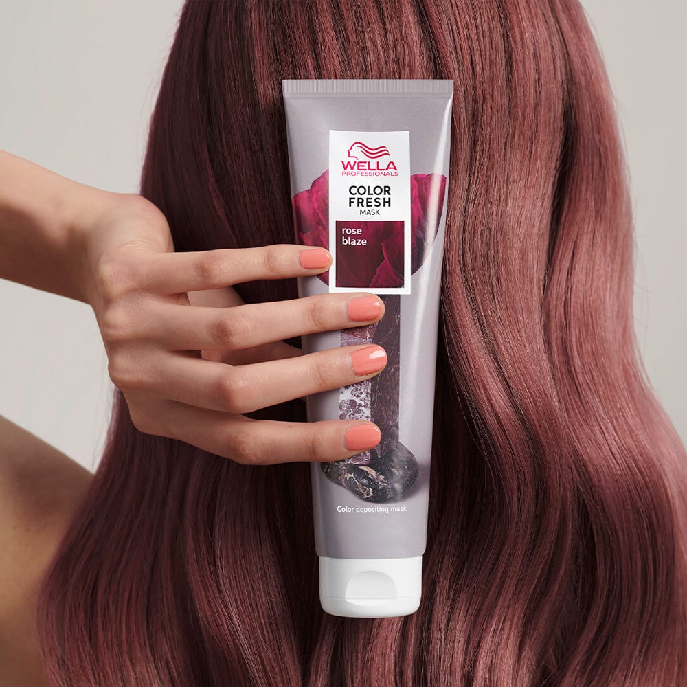 12086820-Farbe-Rose Blaze