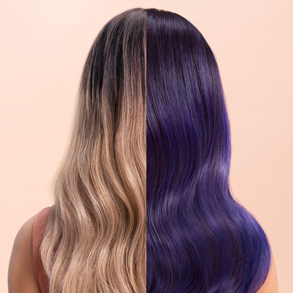 12086824-Farbe-Purpl