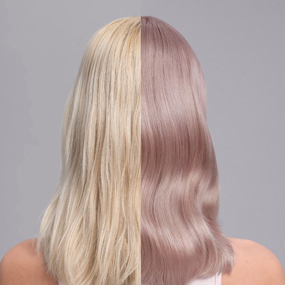 12088610-Farbe-Lilac Frost