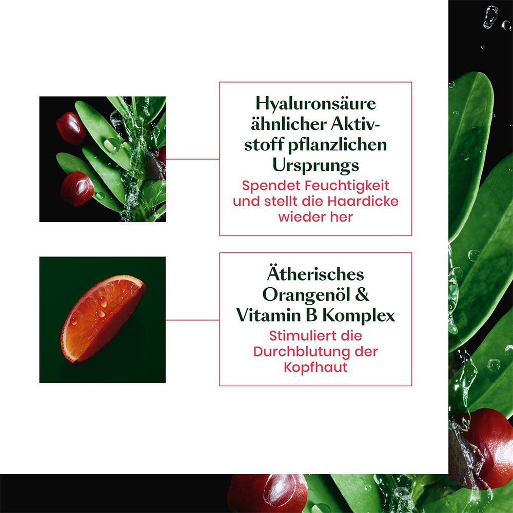 12088745-Menge-600 ml