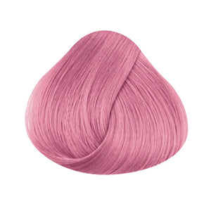 Pastel Rose