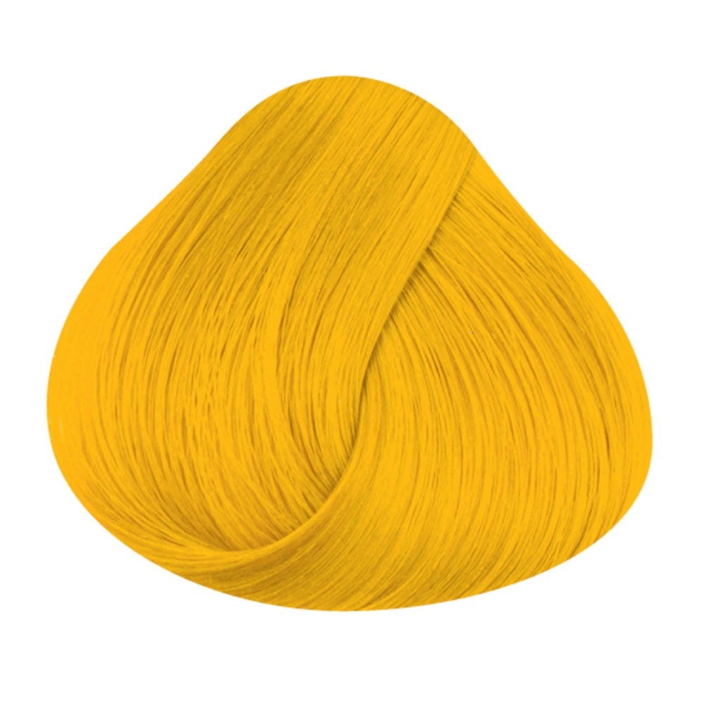 12089778-Farbe-SUNFLOWER