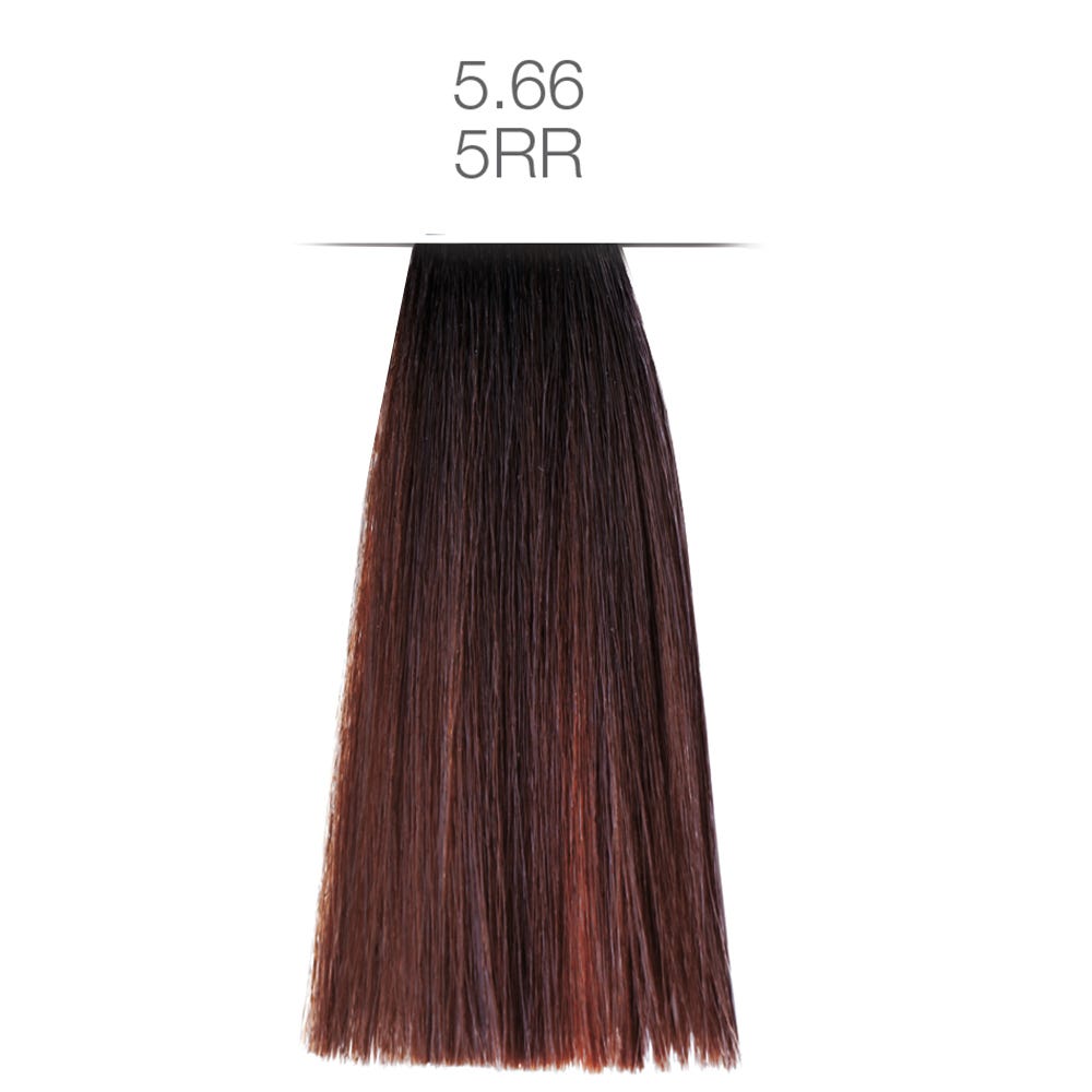 12094462-Farbe-5.66 / 5RR