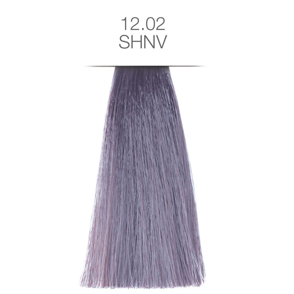 12094464-Farbe-12.02 / SHNV