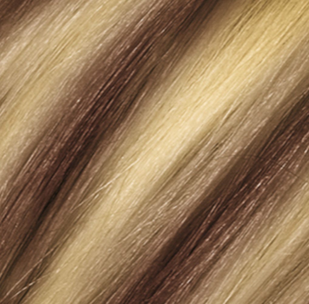 12100614-Farbe-6LL Lowlights 6