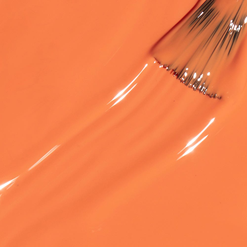 12101351-Farbe-Trading Paint