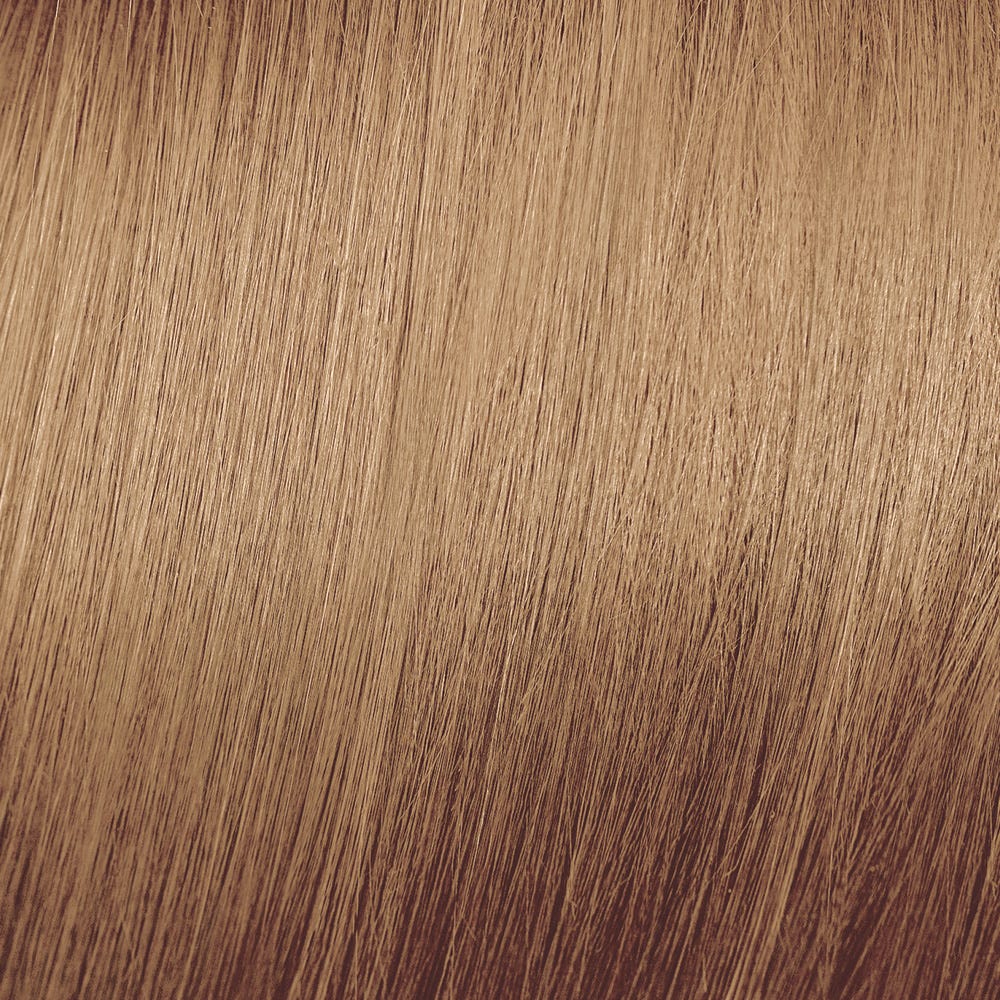 12102090-Farbe-Extra Helles Ash