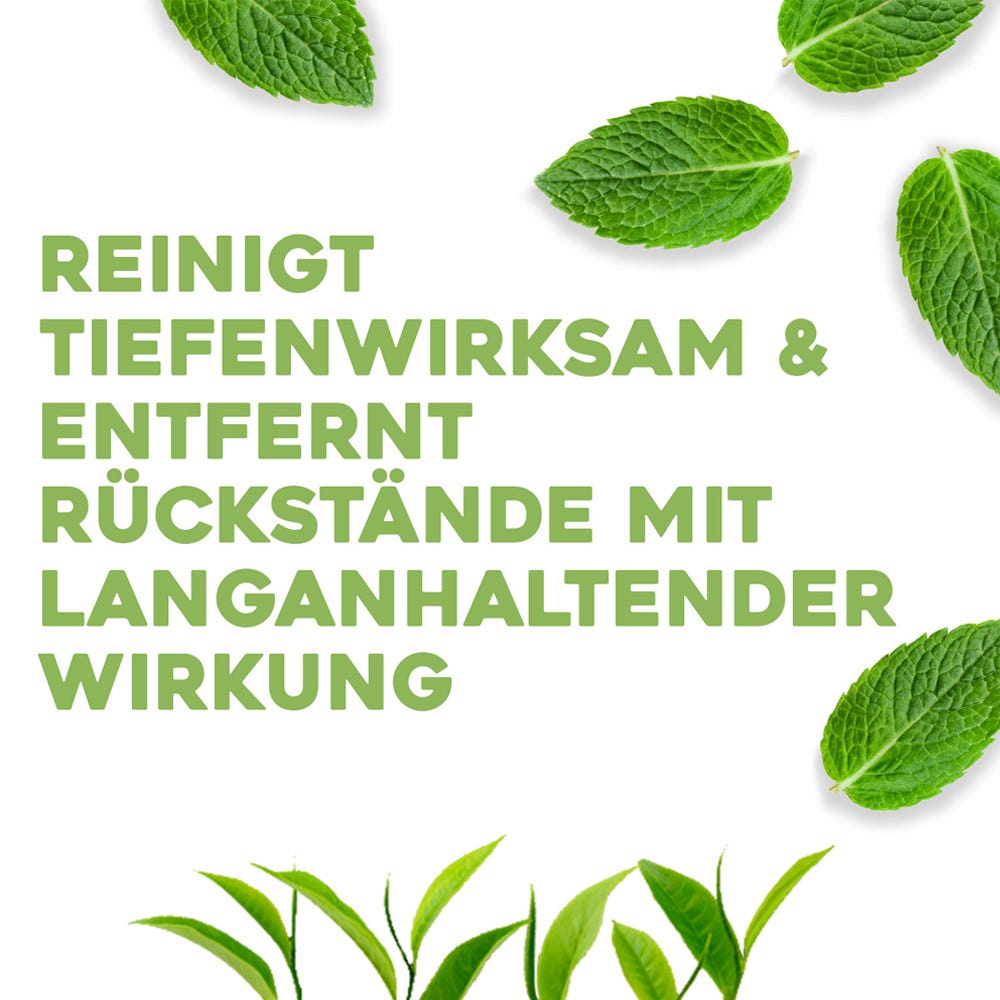 OGX Tea Tree Mint Extra Strength Conditioner 385ml