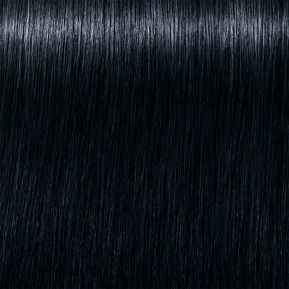 12109993-Farbe-1.1 blauschwarz