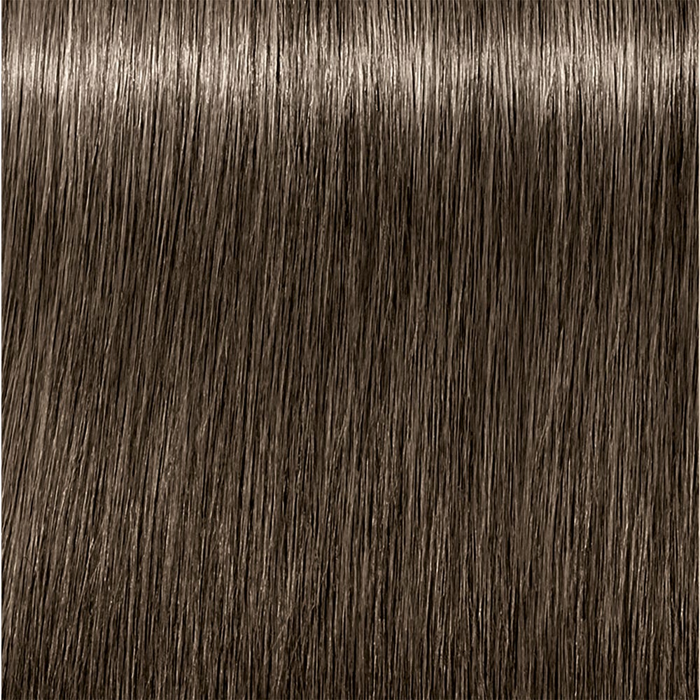 12109995-Farbe-6.1 Dunkelblond asch