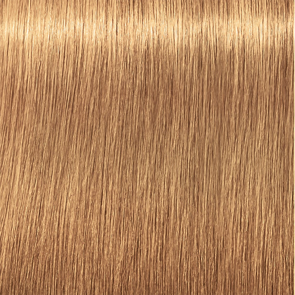 12110008-Farbe-9.3 Extra Lichtblond Gold