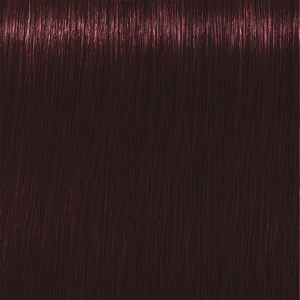 12110036-Farbe-3.66 Dunkelbraun Rot Intensiv