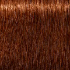 7.38+ Mittelblond Gold Schoko