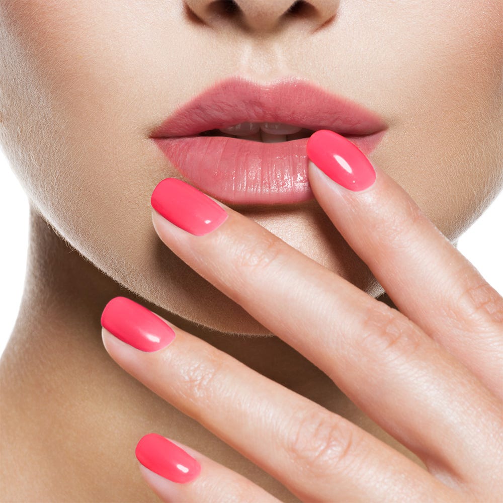 12110110-Farbe-Flamingo