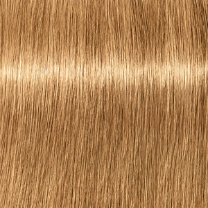 7-55 Mittelblond Gold Extra
