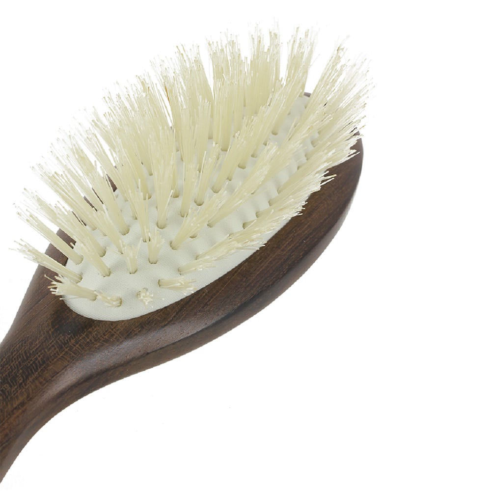 Christophe Robin Travel Hairbrush