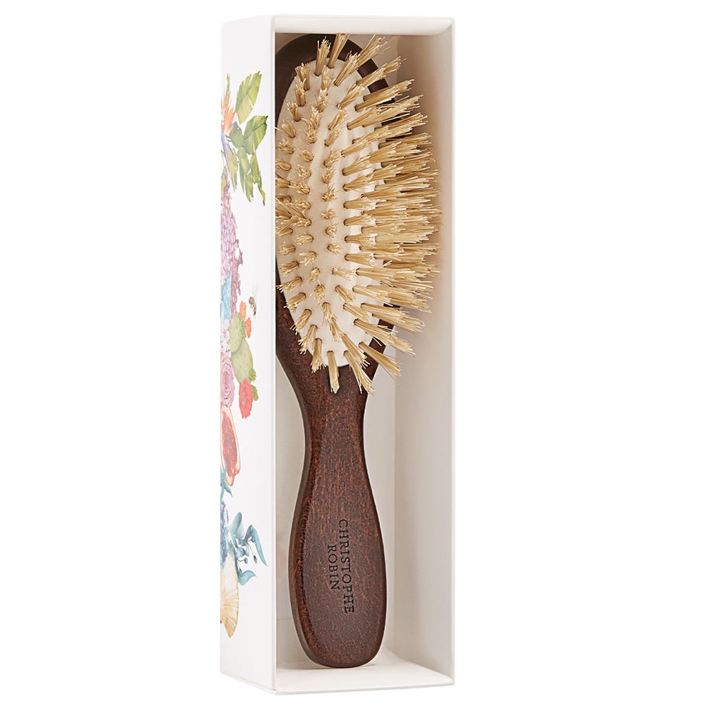 Christophe Robin Travel Hairbrush