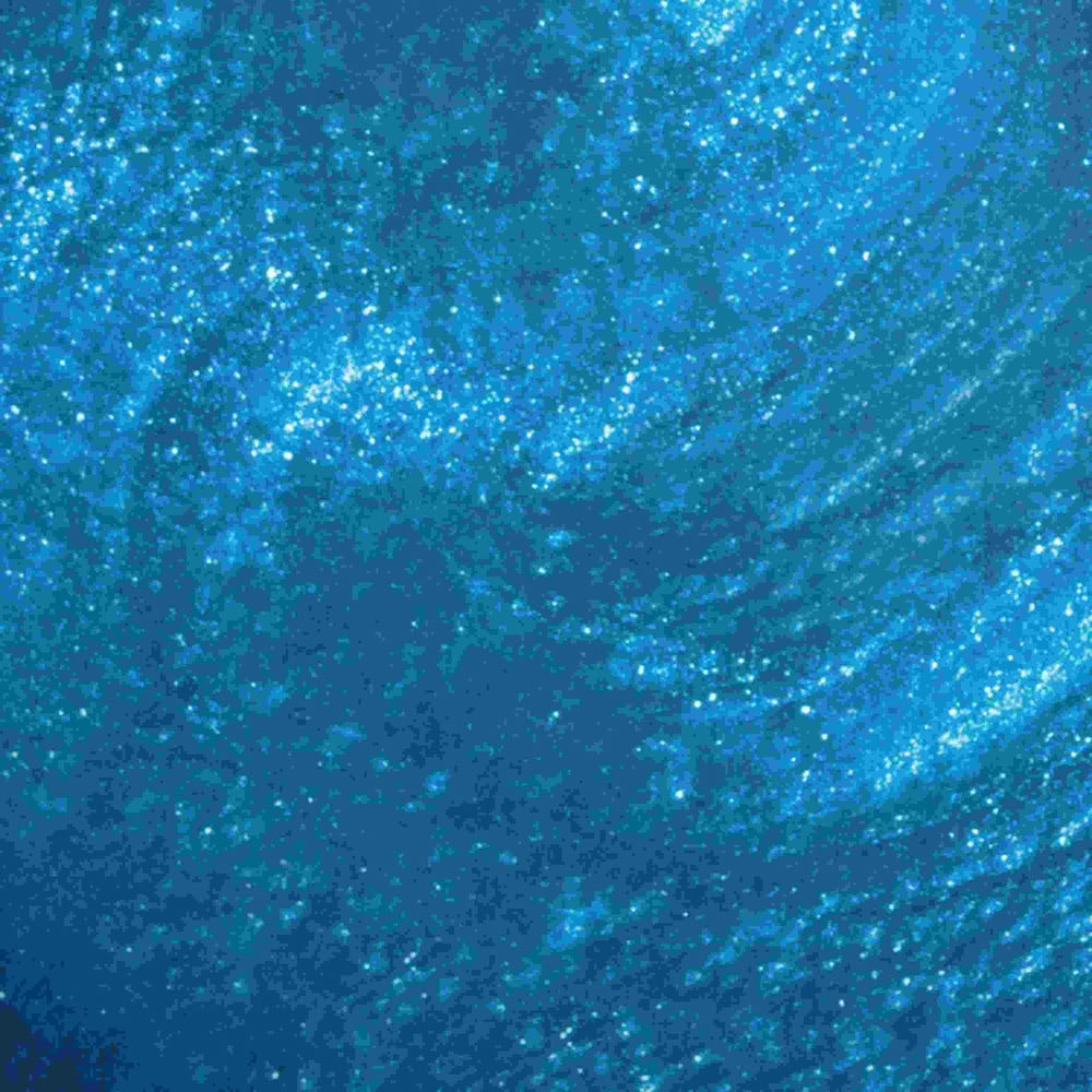 12120400-Farbe-Do You Sea What I Sea?