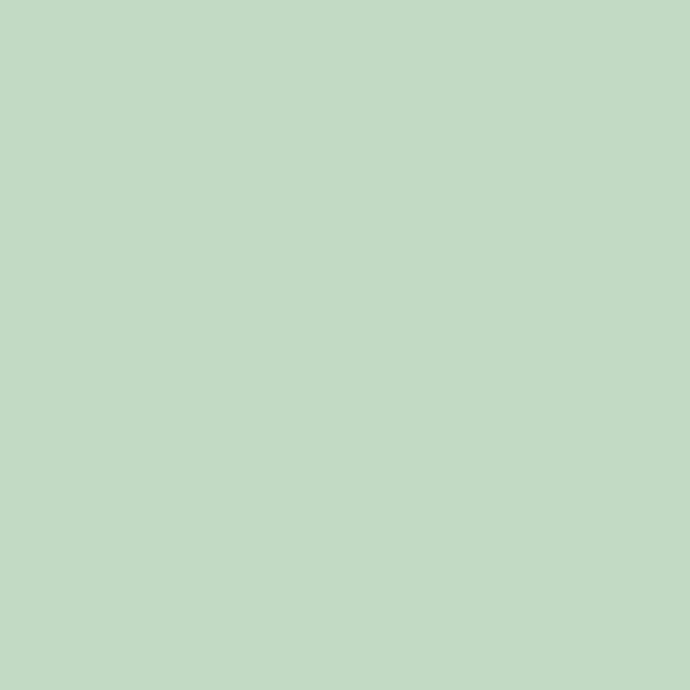 12120405-Farbe-In Mint Condition