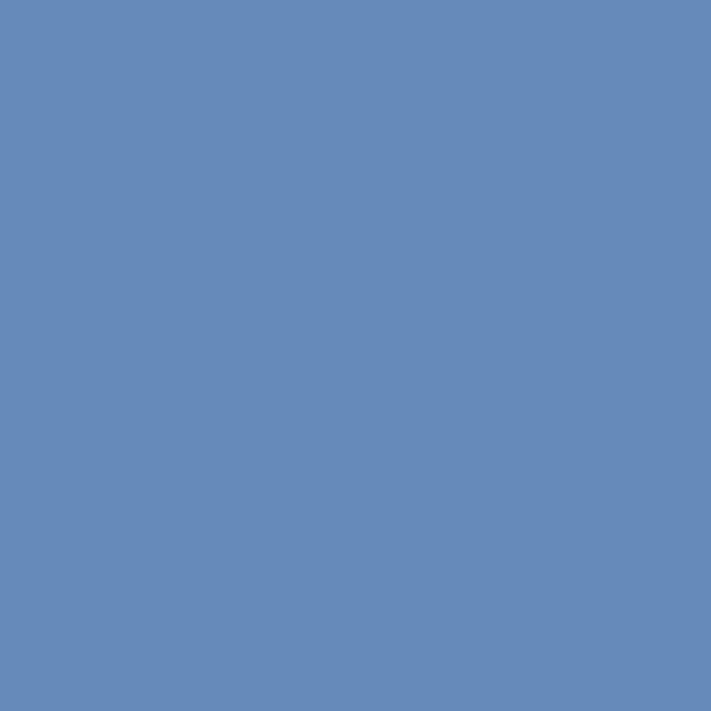 12120419-Farbe-Strongevity