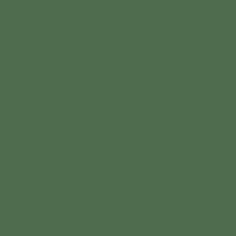 12120422-Farbe-Happily Evergreen After